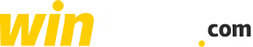 win9999 logo